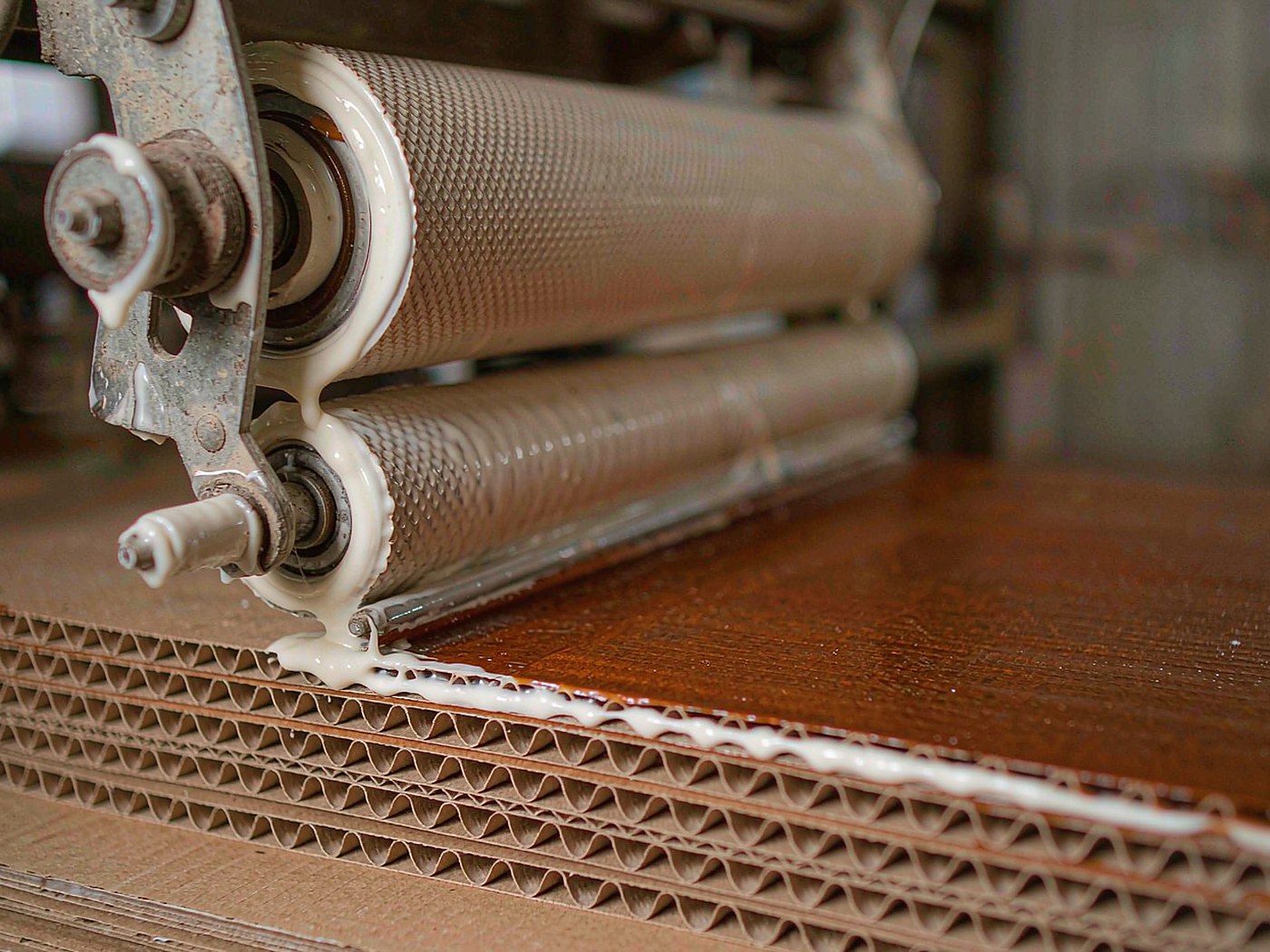 Solvent-free glue application on corrugated flutes